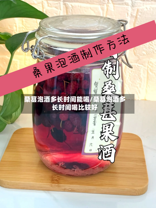 桑葚泡酒多长时间能喝/桑葚泡酒多长时间喝比较好-第3张图片