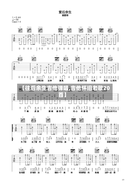 【往后余生吉他弹唱,吉他怀旧老歌20首】-第2张图片