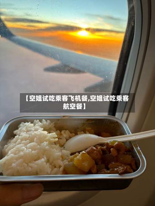【空姐试吃乘客飞机餐,空姐试吃乘客航空餐】-第2张图片