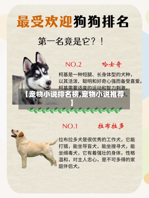 【宠物小说排名榜,宠物小说推荐】-第1张图片