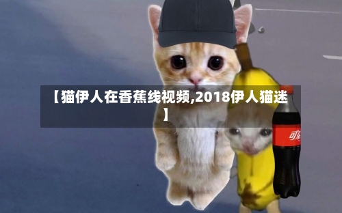 【猫伊人在香蕉线视频,2018伊人猫迷】-第2张图片