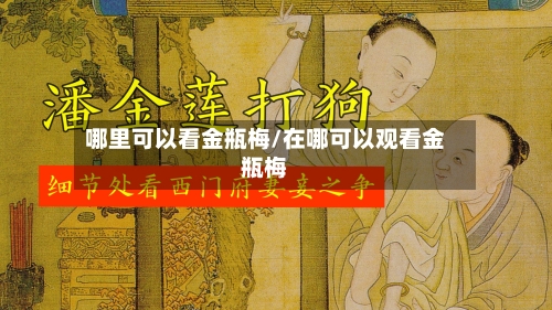 哪里可以看金瓶梅/在哪可以观看金瓶梅-第2张图片
