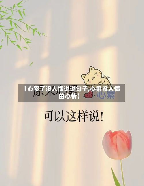 【心累了没人懂说说句子,心累没人懂的心情】-第2张图片