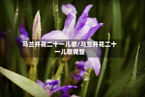 马兰开花二十一儿歌/马兰开花二十一儿歌完整-第2张图片