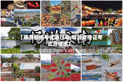 【导游资格考试通过率,导游资格证考试合格率】-第1张图片