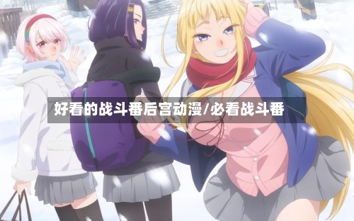 好看的战斗番后宫动漫/必看战斗番-第3张图片
