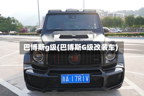 巴博斯g级(巴博斯G级改装车)-第2张图片