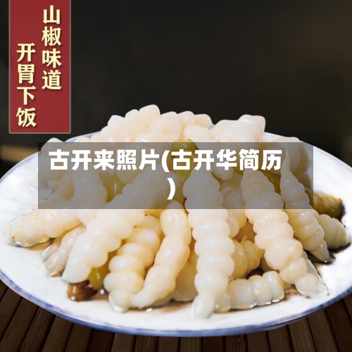 古开来照片(古开华简历)-第1张图片