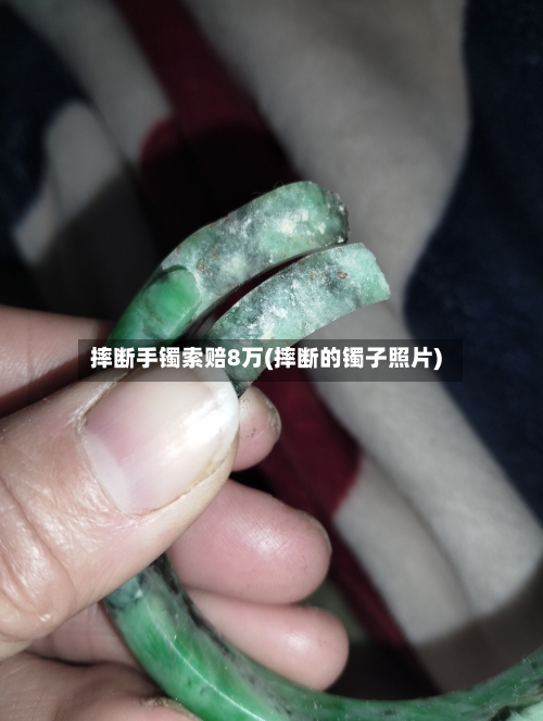 摔断手镯索赔8万(摔断的镯子照片)-第1张图片