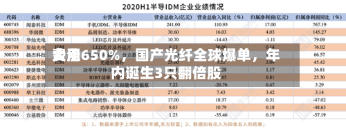 费用大涨650%	，国产光纤全球爆单，年内诞生3只翻倍股-第3张图片
