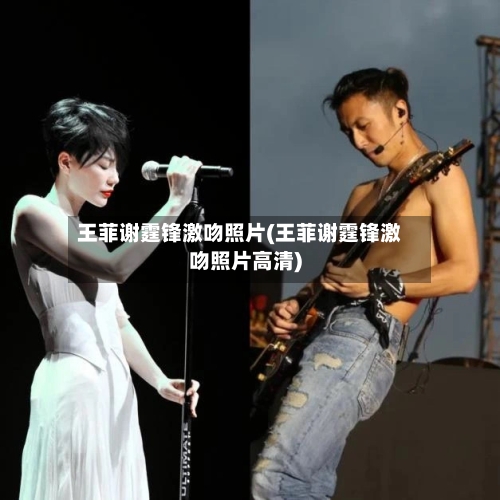 王菲谢霆锋激吻照片(王菲谢霆锋激吻照片高清)-第3张图片