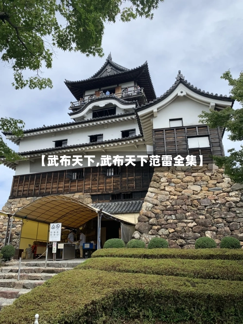 【武布天下,武布天下范雷全集】-第1张图片