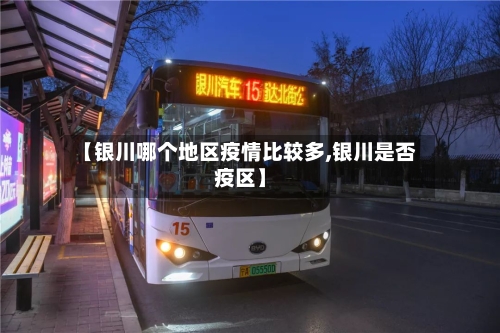 【银川哪个地区疫情比较多,银川是否疫区】-第3张图片