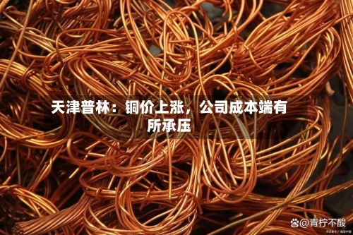 天津普林：铜价上涨	，公司成本端有所承压-第1张图片