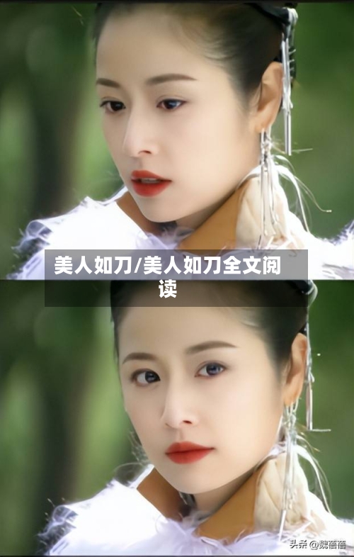 美人如刀/美人如刀全文阅读-第1张图片