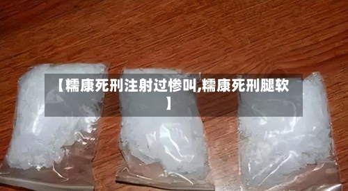 【糯康死刑注射过惨叫,糯康死刑腿软】-第2张图片