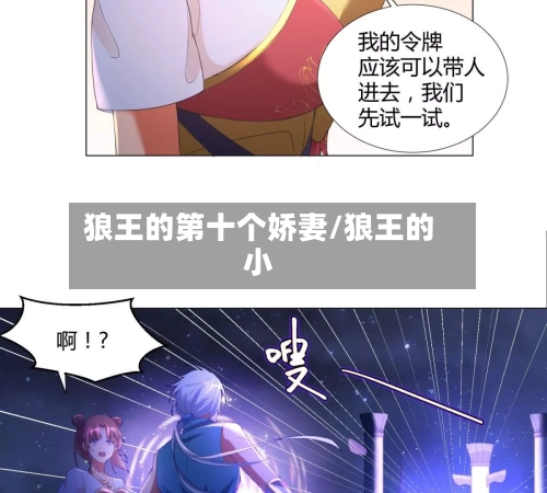 狼王的第十个娇妻/狼王的小-第3张图片