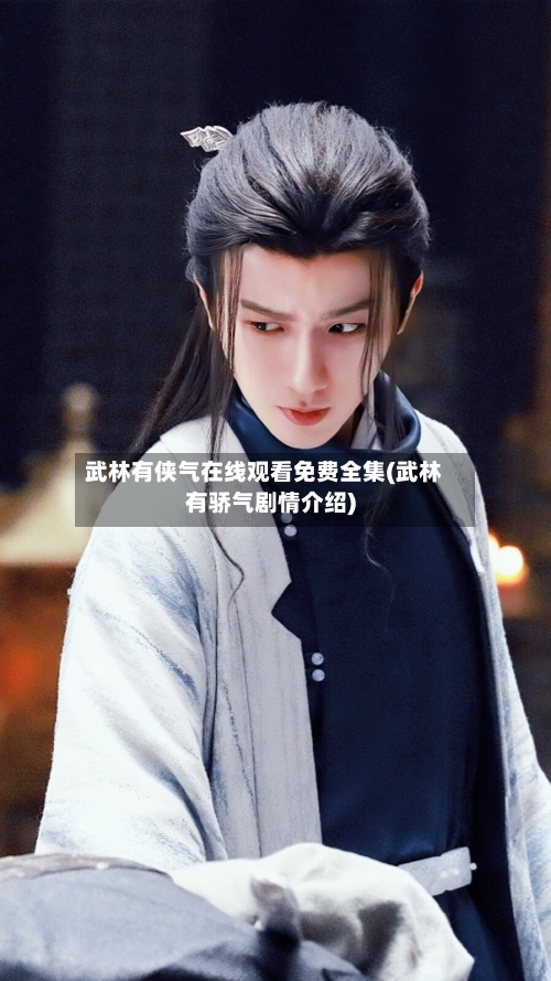 武林有侠气在线观看免费全集(武林有骄气剧情介绍)-第2张图片