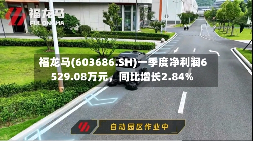福龙马(603686.SH)一季度净利润6529.08万元	，同比增长2.84%-第1张图片