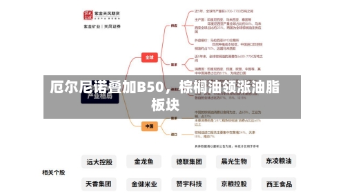 厄尔尼诺叠加B50	，棕榈油领涨油脂板块-第2张图片