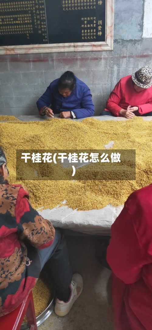 干桂花(干桂花怎么做)-第2张图片