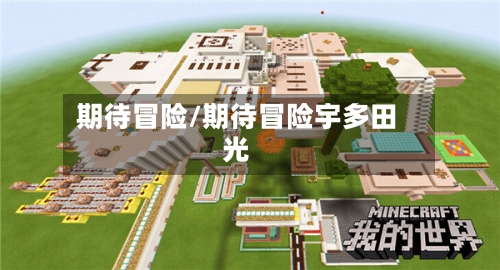 期待冒险/期待冒险宇多田光-第1张图片