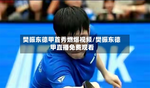 樊振东德甲首秀燃爆视频/樊振东德甲直播免费观看-第1张图片