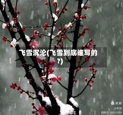 飞雪沉沦(飞雪到底谁写的?)-第1张图片