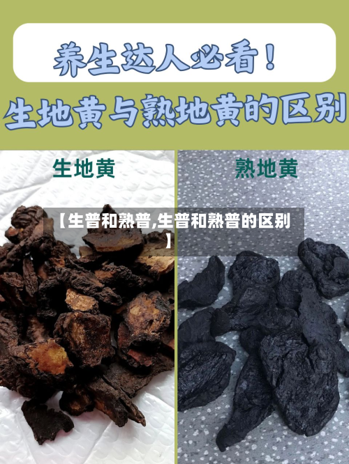 【生普和熟普,生普和熟普的区别】-第2张图片