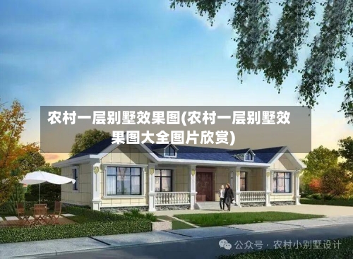 农村一层别墅效果图(农村一层别墅效果图大全图片欣赏)-第2张图片