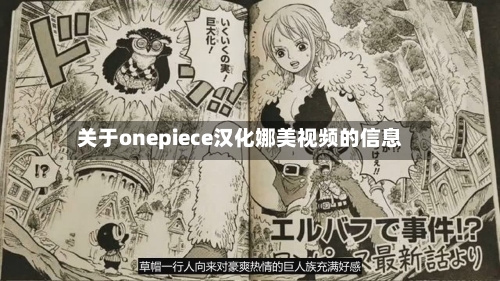 关于onepiece汉化娜美视频的信息-第1张图片