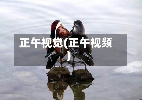 正午视觉(正午视频)-第2张图片