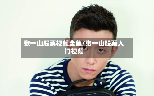 张一山股票视频全集/张一山股票入门视频-第3张图片