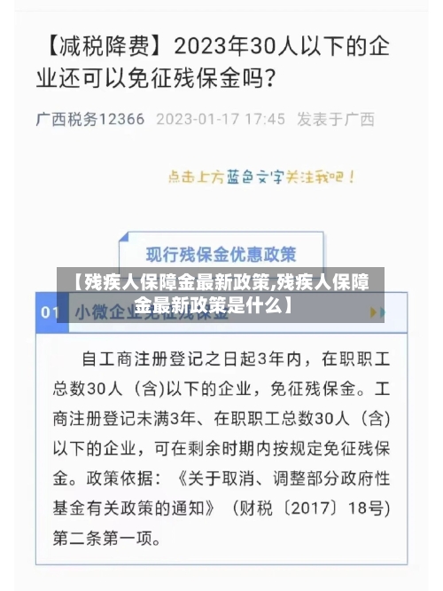 【残疾人保障金最新政策,残疾人保障金最新政策是什么】-第1张图片