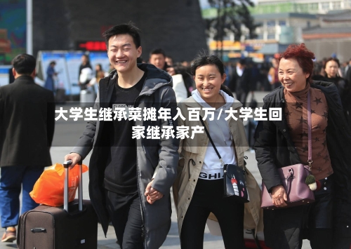 大学生继承菜摊年入百万/大学生回家继承家产-第2张图片