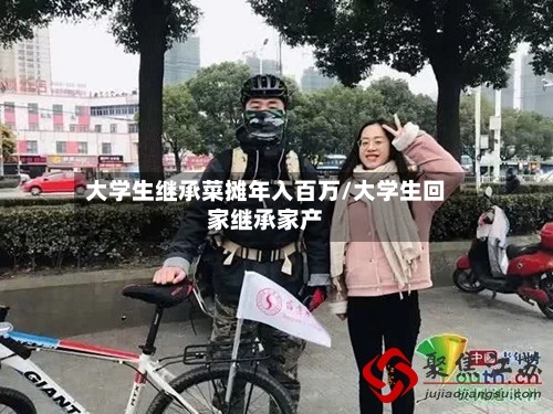 大学生继承菜摊年入百万/大学生回家继承家产-第1张图片