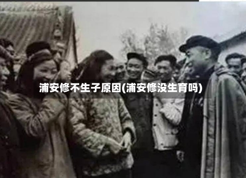 浦安修不生子原因(浦安修没生育吗)-第3张图片