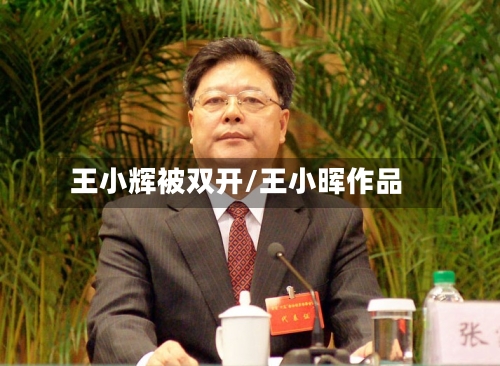 王小辉被双开/王小晖作品-第2张图片