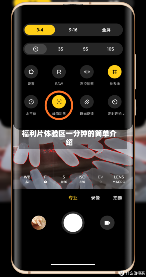福利片体验区一分钟的简单介绍-第3张图片