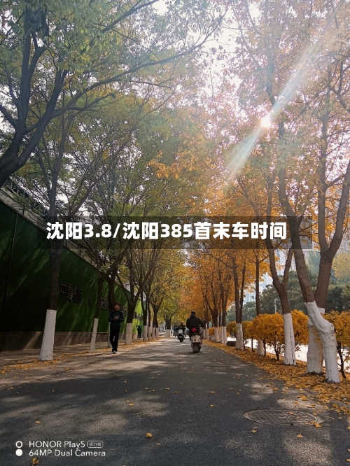 沈阳3.8/沈阳385首末车时间-第2张图片