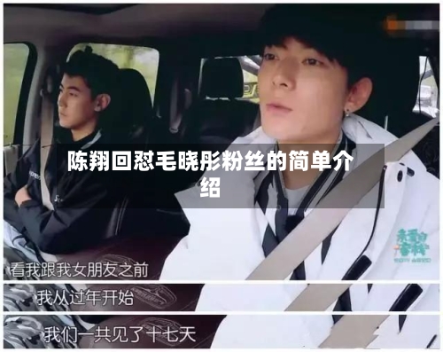 陈翔回怼毛晓彤粉丝的简单介绍-第1张图片