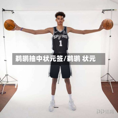 鹈鹕抽中状元签/鹈鹕 状元-第2张图片