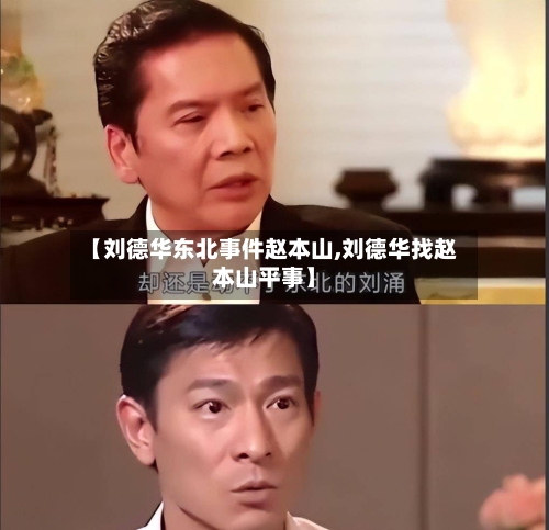 【刘德华东北事件赵本山,刘德华找赵本山平事】-第2张图片