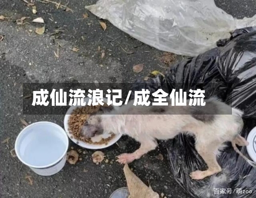 成仙流浪记/成全仙流-第1张图片