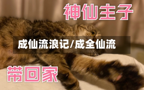 成仙流浪记/成全仙流-第3张图片