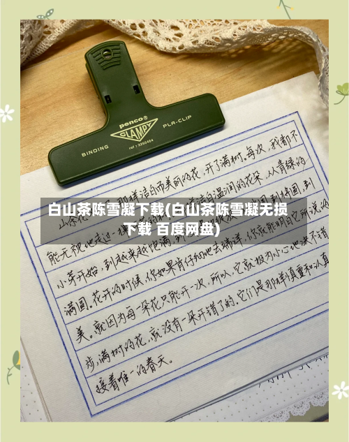 白山茶陈雪凝下载(白山茶陈雪凝无损下载 百度网盘)-第1张图片