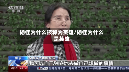 杨佳为什么被称为英雄/杨佳为什么是英雄-第1张图片