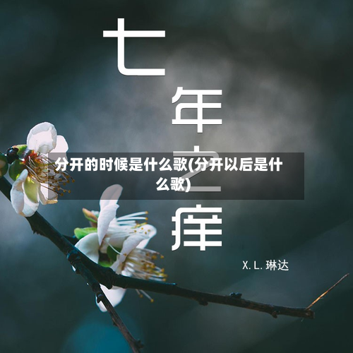 分开的时候是什么歌(分开以后是什么歌)-第2张图片