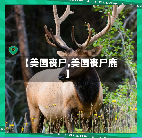 【美国丧尸,美国丧尸鹿】-第2张图片