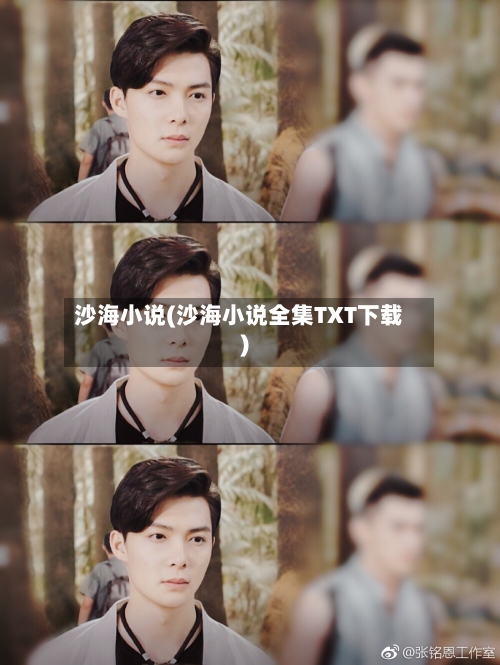 沙海小说(沙海小说全集TXT下载)-第1张图片